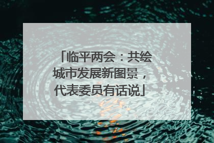 临平两会：共绘城市发展新图景，代表委员有话说