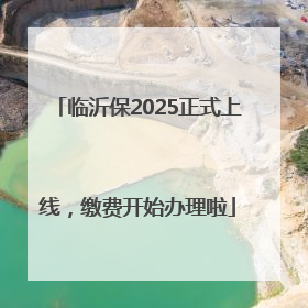 临沂保2025正式上线，缴费开始办理啦