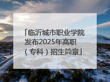 临沂城市职业学院发布2025年高职（专科）招生简章