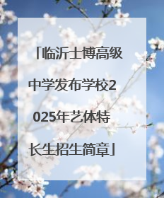 临沂士博高级中学发布学校2025年艺体特长生招生简章