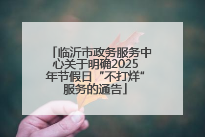 临沂市政务服务中心关于明确2025年节假日“不打烊”服务的通告