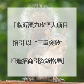 临沂聚力攻坚大项目招引 以“三重突破”打造招商引资新格局