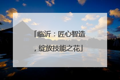 临沂：匠心智造，绽放技能之花