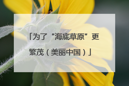 为了“海底草原”更繁茂（美丽中国）