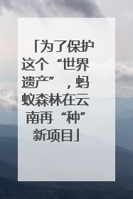 为了保护这个“世界遗产”，蚂蚁森林在云南再“种”新项目