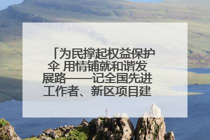 为民撑起权益保护伞 用情铺就和谐发展路——记全国先进工作者、新区项目建设中心干部卢小勇