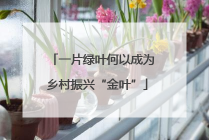 一片绿叶何以成为乡村振兴“金叶”