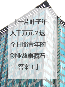 一片叶子年入千万元？这个日照青年的创业故事藏着答案！