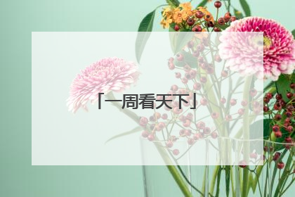 一周看天下