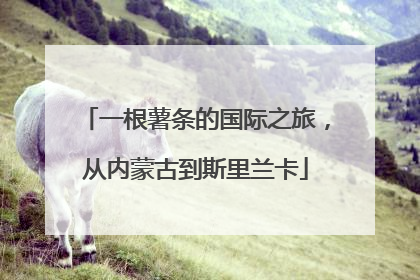 一根薯条的国际之旅，从内蒙古到斯里兰卡