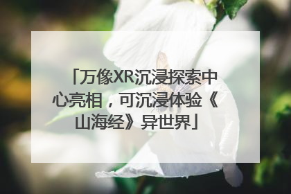 万像XR沉浸探索中心亮相，可沉浸体验《山海经》异世界