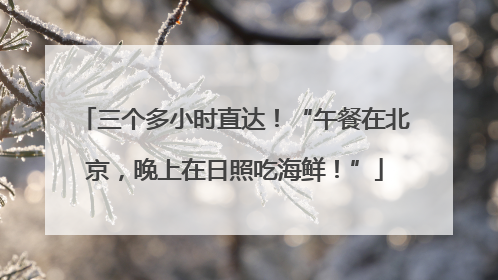 三个多小时直达！“午餐在北京，晚上在日照吃海鲜！”