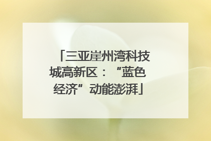 三亚崖州湾科技城高新区：“蓝色经济”动能澎湃