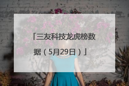 三友科技龙虎榜数据（5月29日）