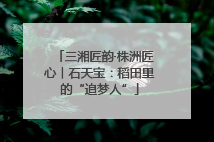 三湘匠韵·株洲匠心丨石天宝：稻田里的“追梦人”