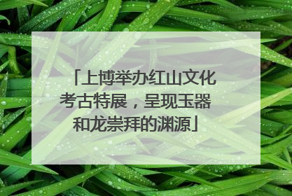 上博举办红山文化考古特展，呈现玉器和龙崇拜的渊源