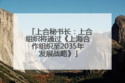 上合秘书长：上合组织将通过《上海合作组织至2035年发展战略》