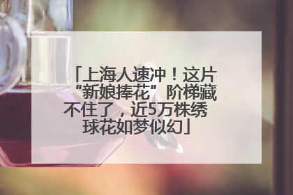 上海人速冲！这片“新娘捧花”阶梯藏不住了，近5万株绣球花如梦似幻