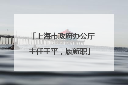 上海市政府办公厅主任王平，履新职
