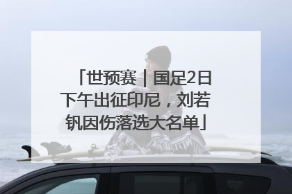 世预赛｜国足2日下午出征印尼，刘若钒因伤落选大名单