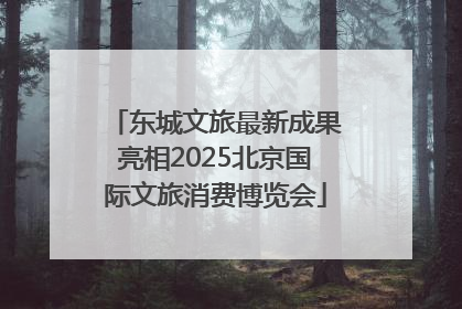 东城文旅最新成果亮相2025北京国际文旅消费博览会