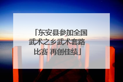 东安县参加全国武术之乡武术套路比赛 再创佳绩