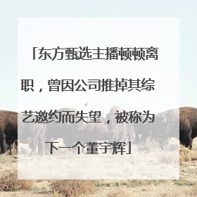 东方甄选主播顿顿离职，曾因公司推掉其综艺邀约而失望，被称为下一个董宇辉