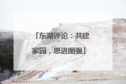 东湖评论：共建家园，思进图强