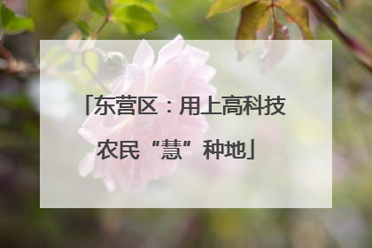东营区：用上高科技 农民“慧”种地