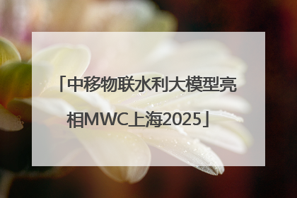 中移物联水利大模型亮相MWC上海2025