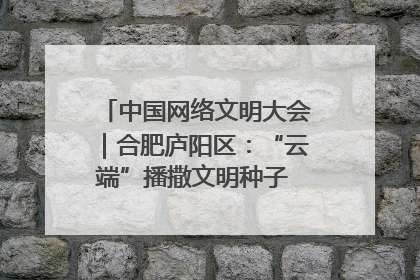 中国网络文明大会｜合肥庐阳区：“云端”播撒文明种子 共建清朗网络空间