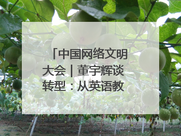 中国网络文明大会｜董宇辉谈转型：从英语教师到互联网的“秦腔”之路