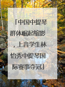 中国中提琴群体崛起缩影，上音学生林怡秀中提琴国际赛事夺冠