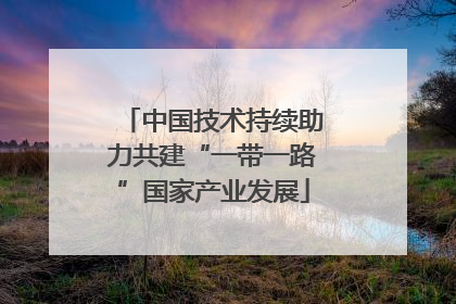 中国技术持续助力共建“一带一路”国家产业发展