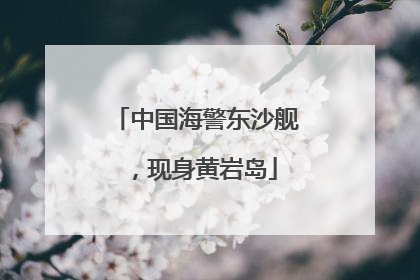 中国海警东沙舰，现身黄岩岛