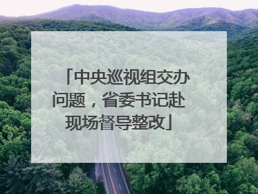 中央巡视组交办问题，省委书记赴现场督导整改