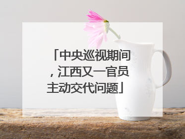 中央巡视期间，江西又一官员主动交代问题