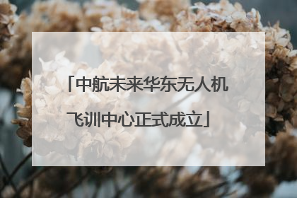 中航未来华东无人机飞训中心正式成立