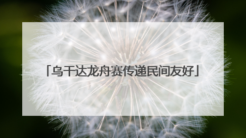 乌干达龙舟赛传递民间友好