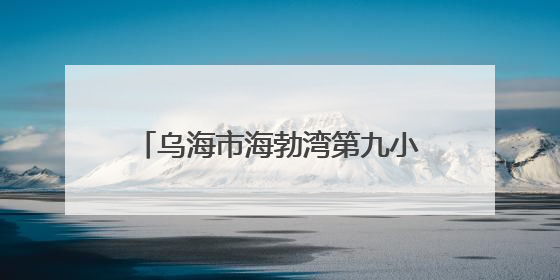 乌海市海勃湾第九小学创新模式有特色