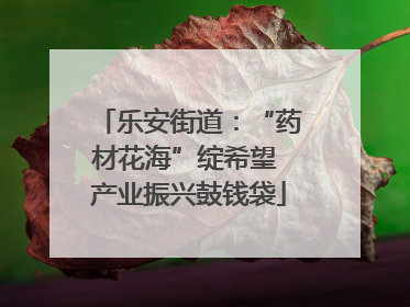 乐安街道：“药材花海”绽希望 产业振兴鼓钱袋