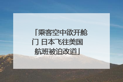 乘客空中欲开舱门 日本飞往美国航班被迫改道