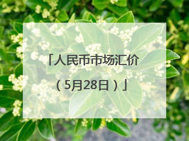 人民币市场汇价（5月28日）