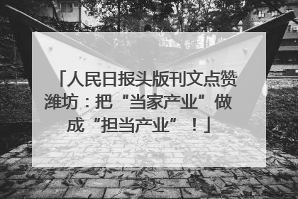 人民日报头版刊文点赞潍坊：把“当家产业”做成“担当产业”！
