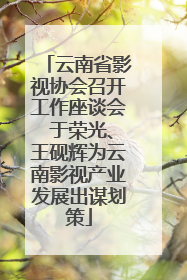 云南省影视协会召开工作座谈会 于荣光、王砚辉为云南影视产业发展出谋划策