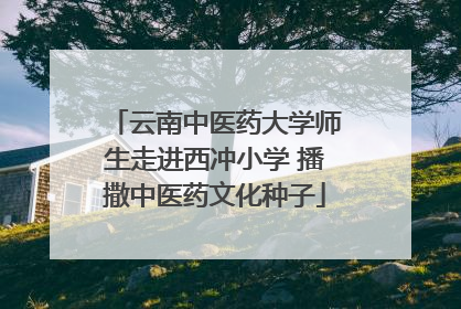 云南中医药大学师生走进西冲小学 播撒中医药文化种子
