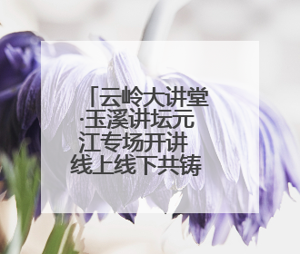 云岭大讲堂·玉溪讲坛元江专场开讲 线上线下共铸中华民族共同体意识