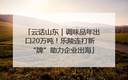 云话山东｜调味品年出口20万吨！乐陵连打新“牌”助力企业出海
