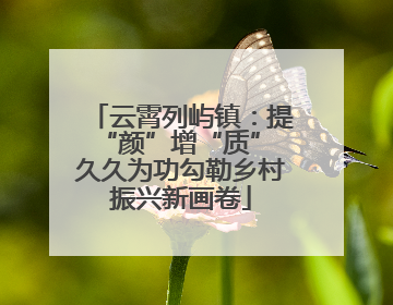 云霄列屿镇：提“颜”增“质” 久久为功勾勒乡村振兴新画卷
