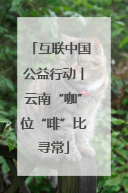 互联中国公益行动丨云南“咖”位“啡”比寻常